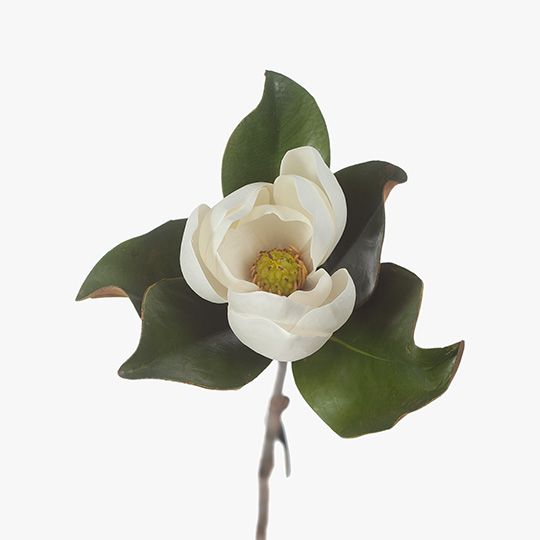 Artificial Flowers | Faux Magnolia Stem - [60cmL] - Winning Interiors